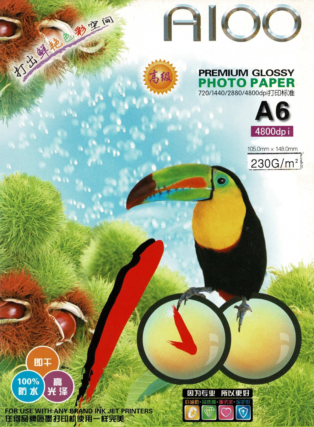 TechWarehouse 4x6 230gsm Glossy Photo Paper 100 sheets CEO